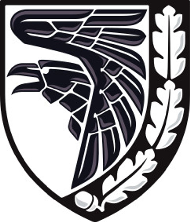 Новини Хмельницького - фото з Що закодовано в символіці ЗСУ: в Шепетівці діє виставка шевронів