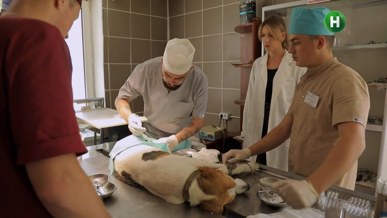 Новини Хмельницького - фото з “Le Маршрутка” у Хмельницькому: що знімала в телепередачі Леся Нікітюк