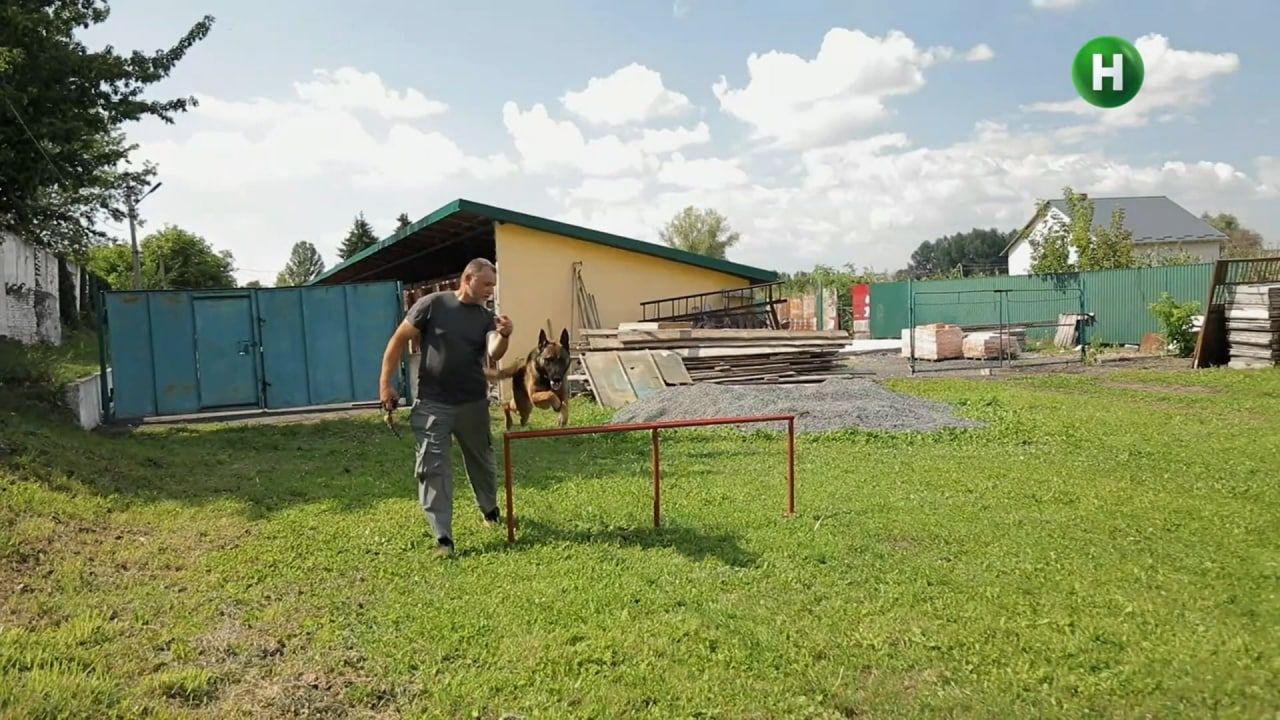 Новини Хмельницького - фото з “Le Маршрутка” у Хмельницькому: що знімала в телепередачі Леся Нікітюк