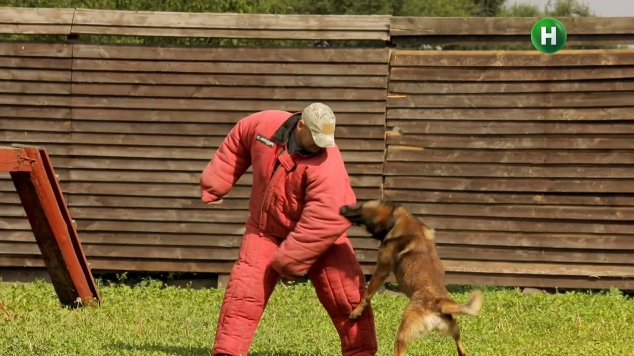 Новини Хмельницького - фото з “Le Маршрутка” у Хмельницькому: що знімала в телепередачі Леся Нікітюк