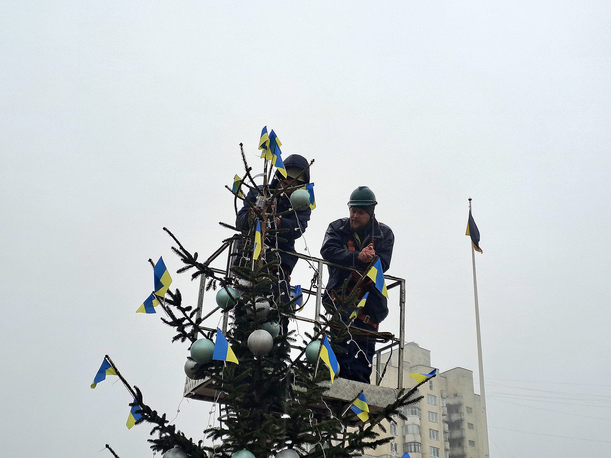 Новини Хмельницького - фото з У центрі Хмельницького встановили новорічну ялинку (ФОТО)