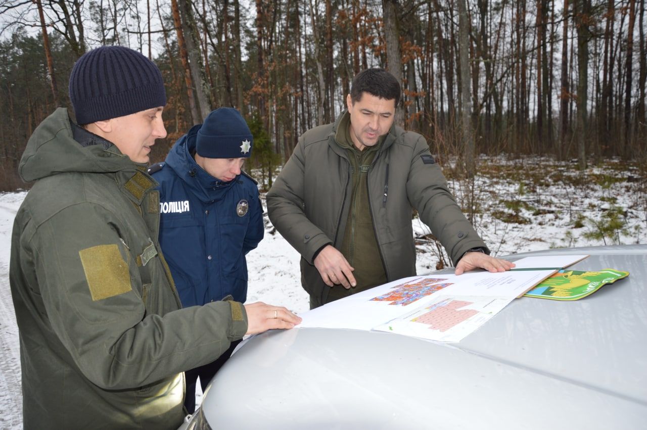 Новини Хмельницького - фото з Штрафи за незаконну вирубку ялинок: скільки доведеться заплатити за браконьєрство