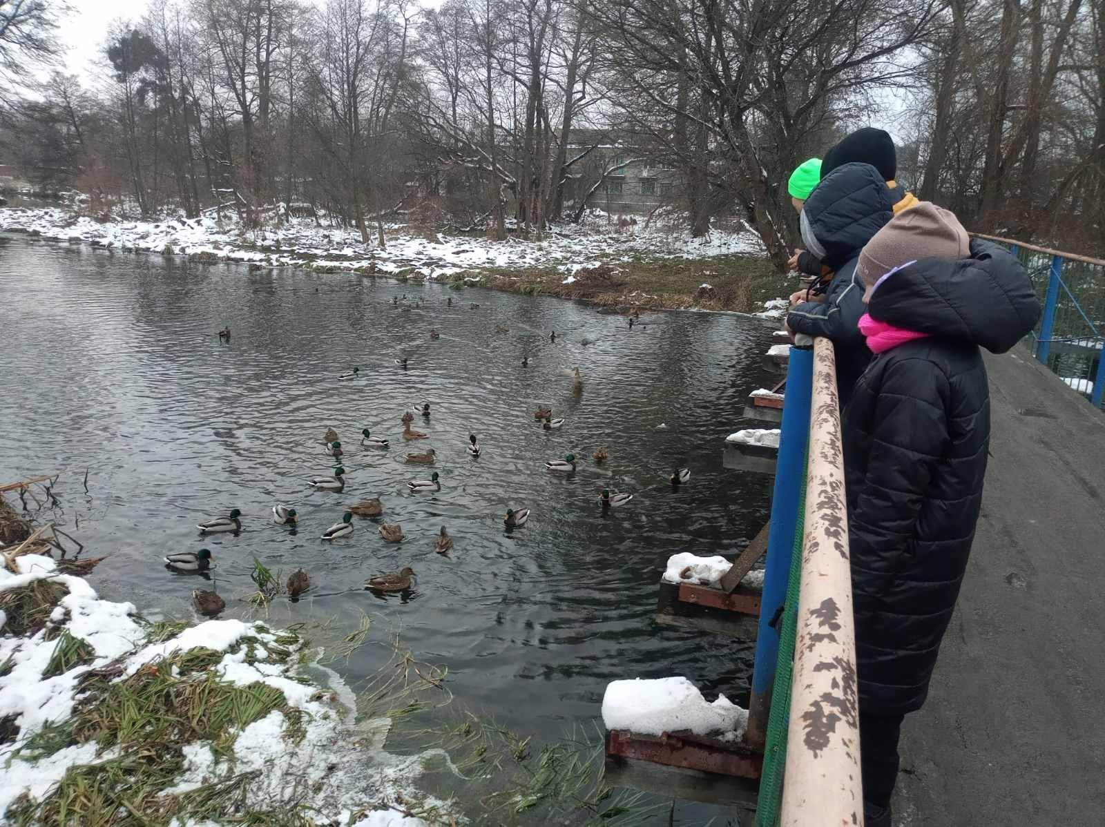 Новини Хмельницького - фото з У Славуті на зимівлю залишилися понад 70 крижнів