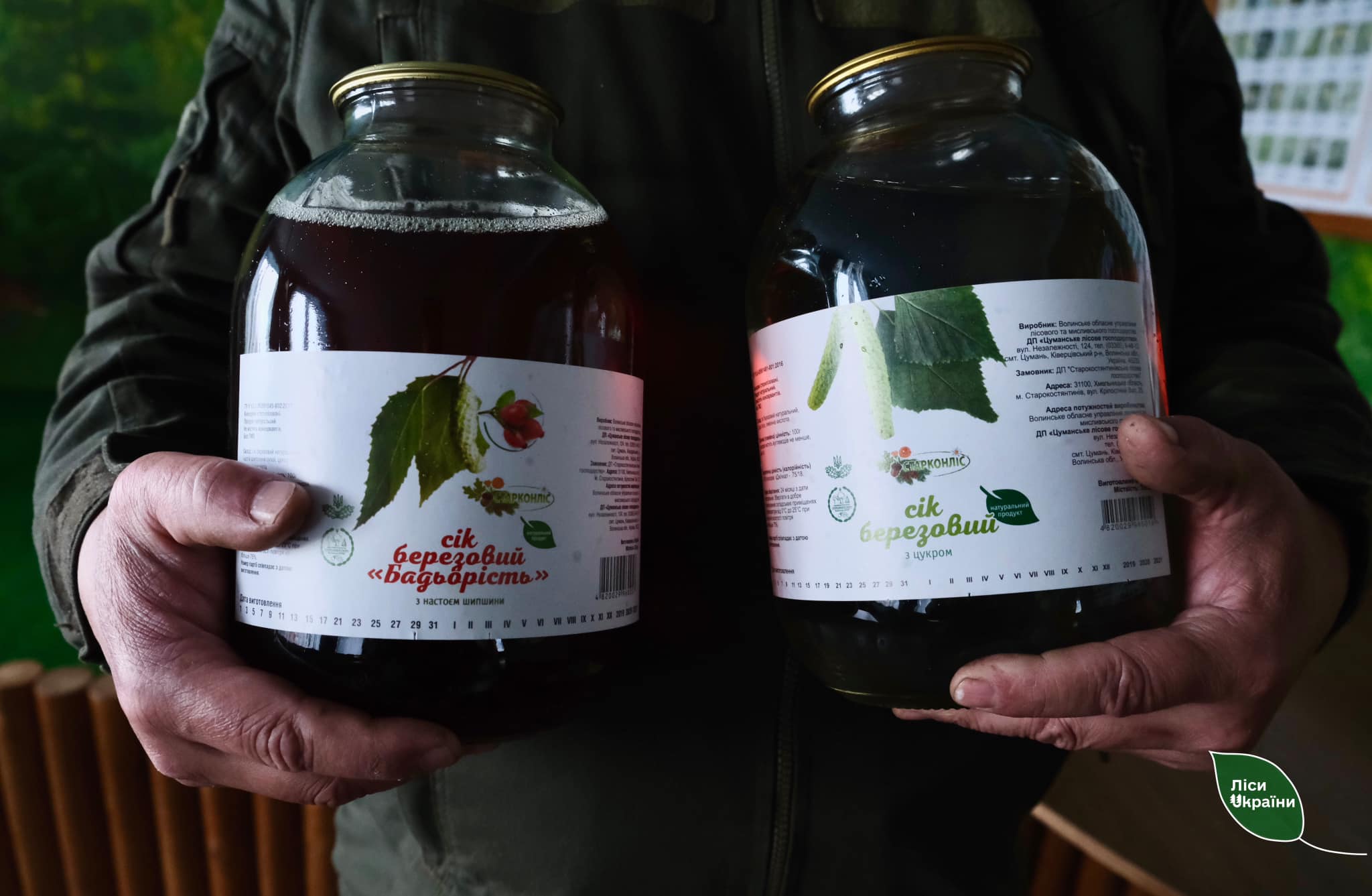 Новини Хмельницького - фото з Кому не можна пити березовий сік та як каратимуть за його збір на Хмельниччині