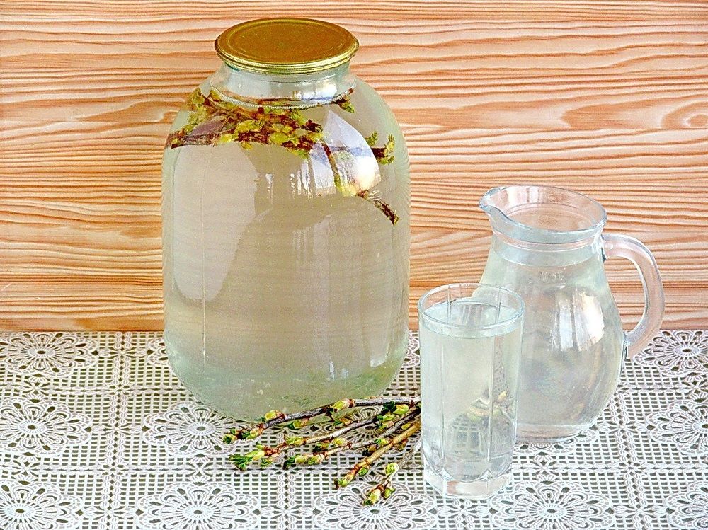 Новини Хмельницького - фото з Кому не можна пити березовий сік та як каратимуть за його збір на Хмельниччині