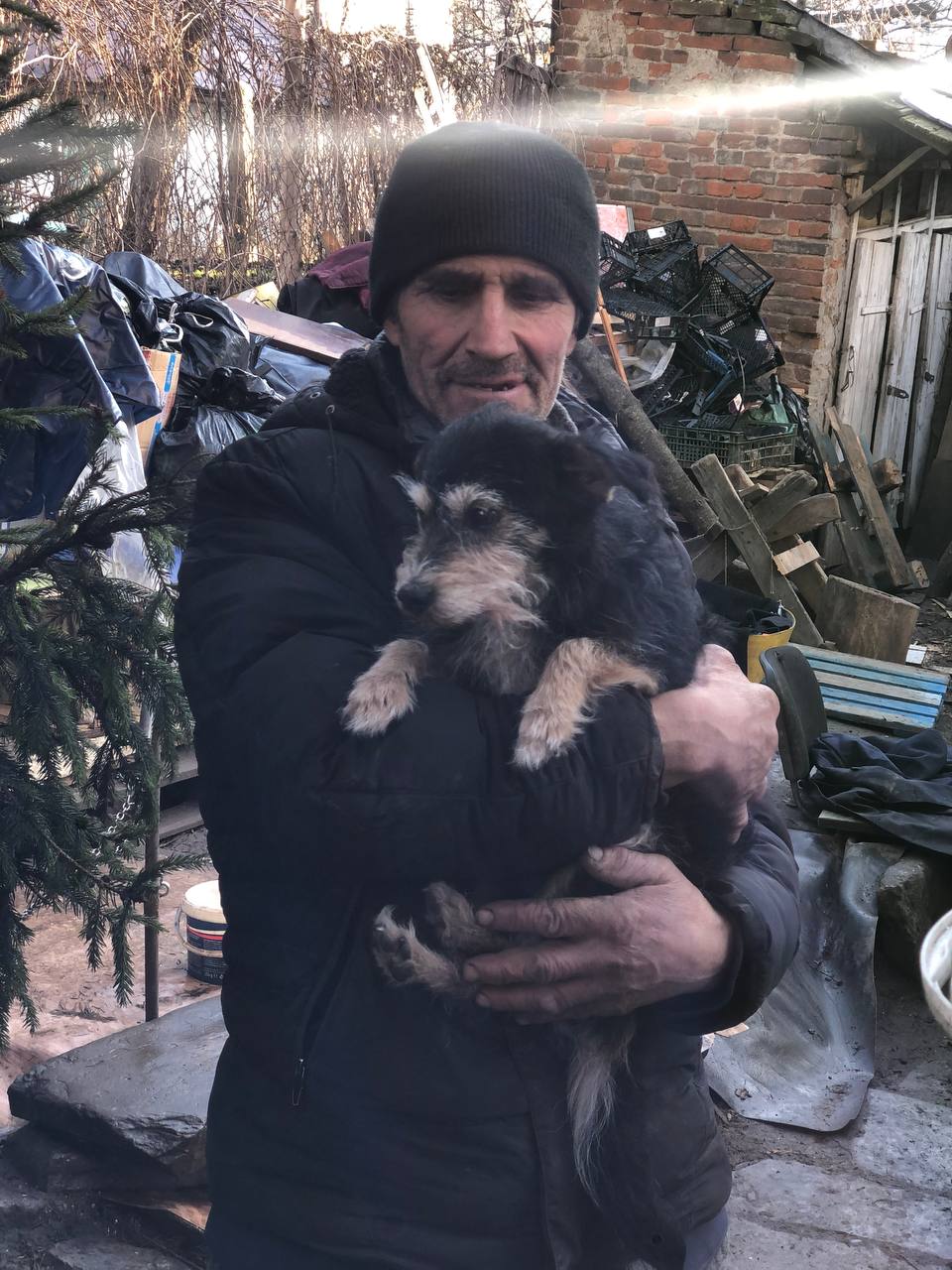 Новини Тернополя - фото з Переселенці з Луганщини та їхні 13 собак шукають тимчасовий прихисток