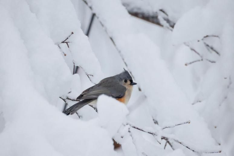 Народні прикмети сьогодні / REUTERS
