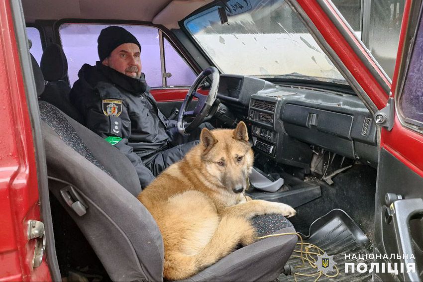 Новини Хмельницького - фото з Врятували від голодної смерті: хмельницькі поліцейські із Харківщини  привезли собаку