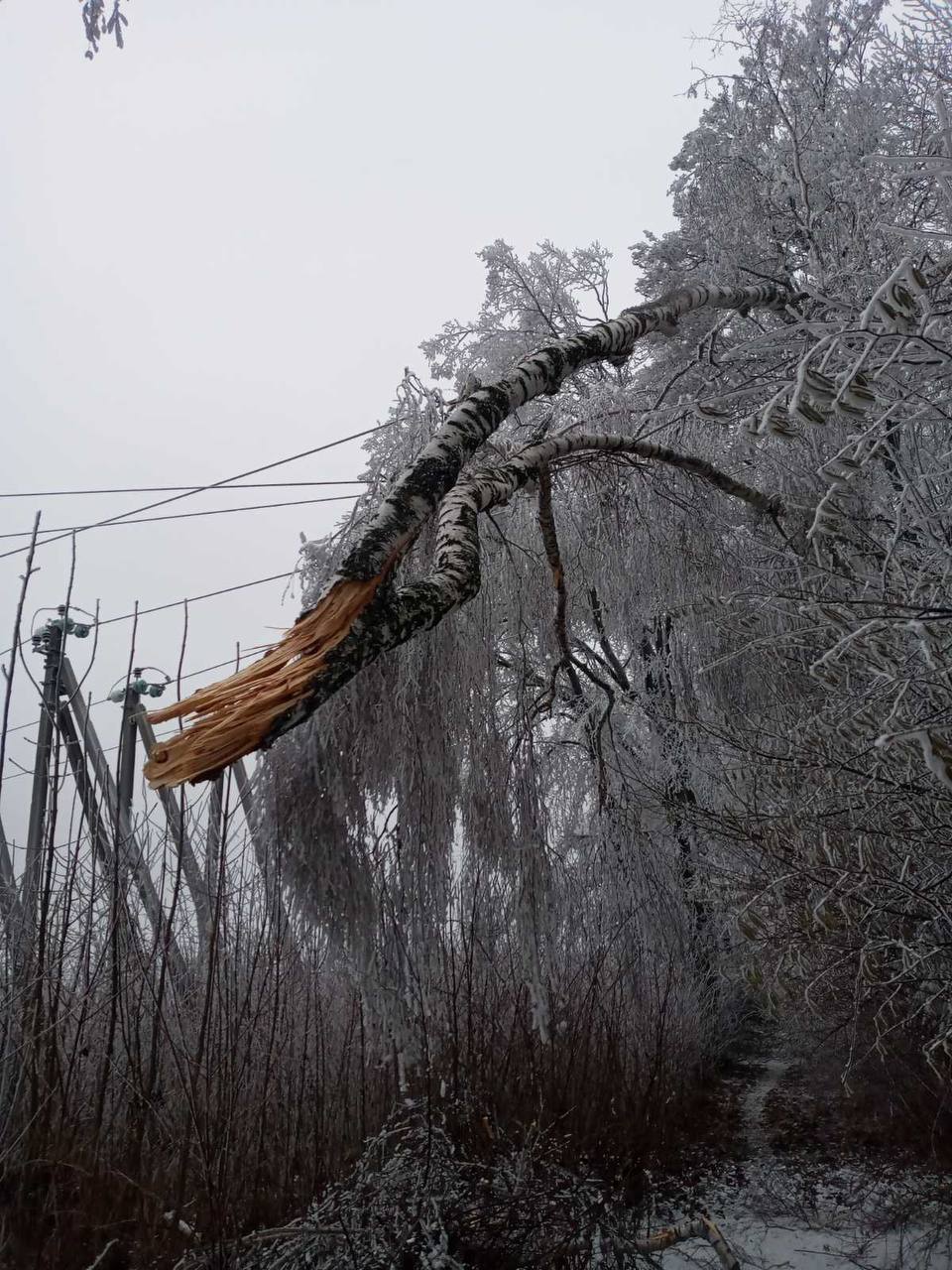 Фото Волочиської міської ради