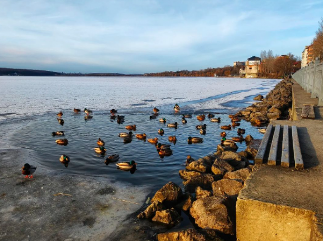 Новини Тернополя - фото з Чарівний зимовий Тернопіль очима містян: ТОП-10 фото, опублікованих в Instagram (ПІДБІРКА)