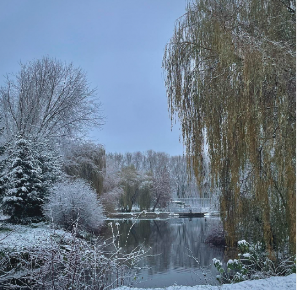 Новини Тернополя - фото з Чарівний зимовий Тернопіль очима містян: ТОП-10 фото, опублікованих в Instagram (ПІДБІРКА)