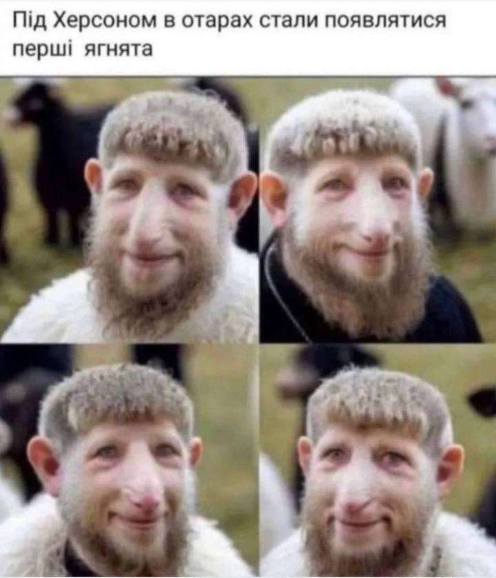 Новини Хмельницького - фото з Відставка Арестовича, танки та ППО на росії: свіжа добірка мемів та жартів