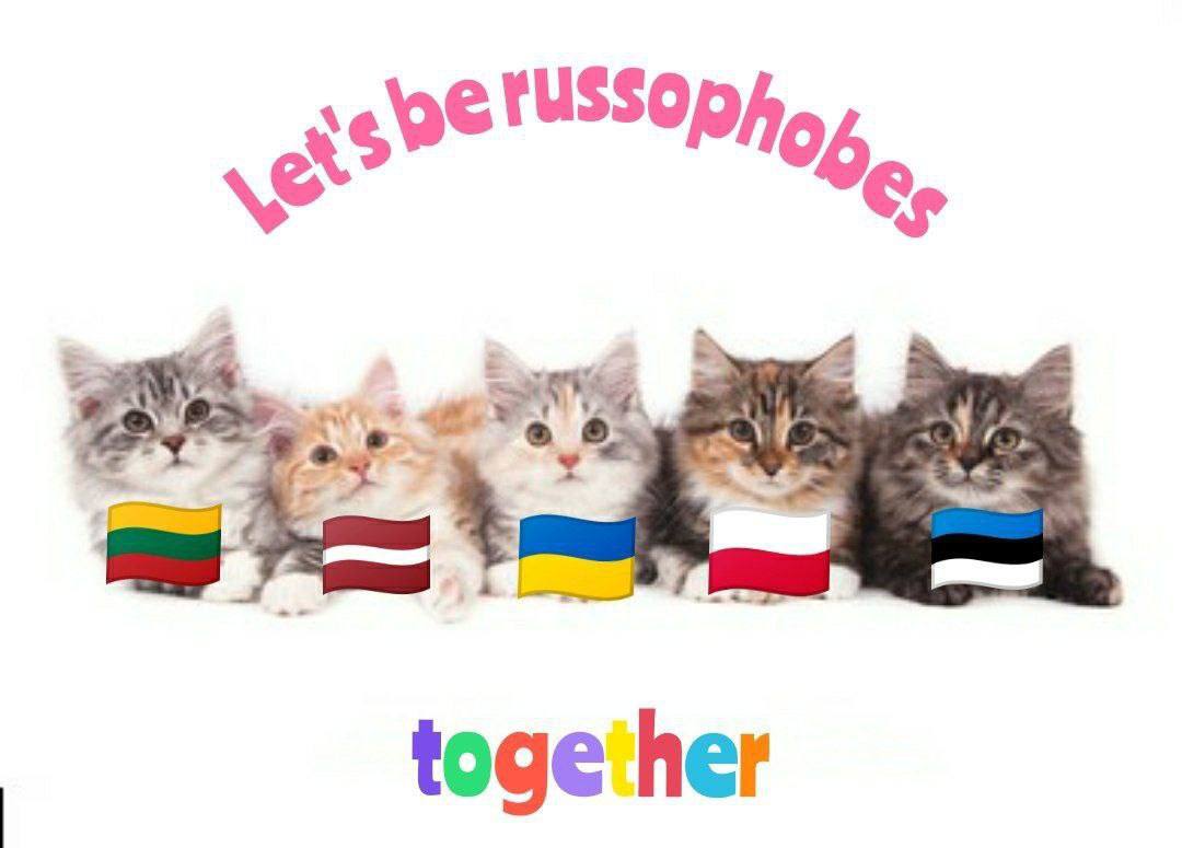 Новини Хмельницького - фото з Відставка Арестовича, танки та ППО на росії: свіжа добірка мемів та жартів