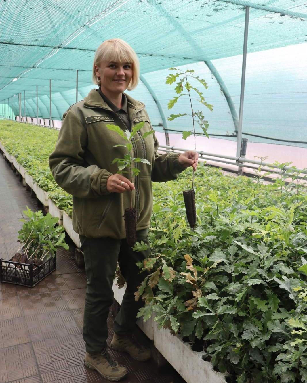 Новини Вінниці - фото з «Не говоріть з нею, бо вона за бандерівців». За чим сумує переселенка з Донеччини?