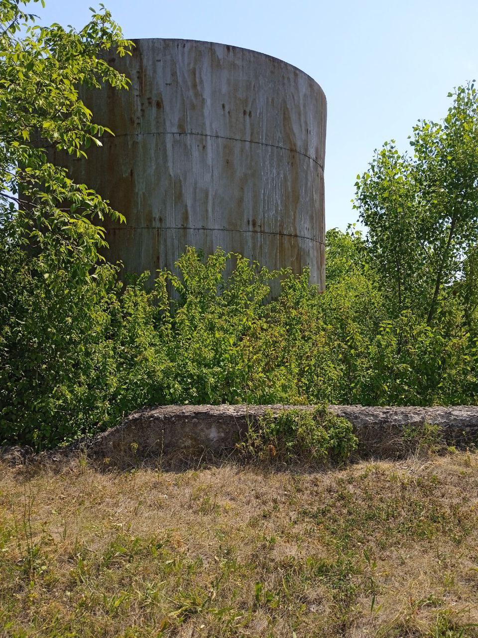 Новини Хмельницького - фото з Майно спиртзаводу в Довжку продають за 1,7 мільйона. Що там є (ФОТО) Image
