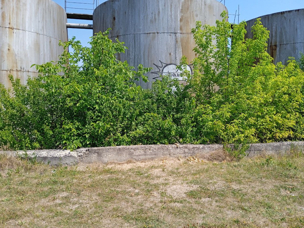 Новини Хмельницького - фото з Майно спиртзаводу в Довжку продають за 1,7 мільйона. Що там є (ФОТО) Image