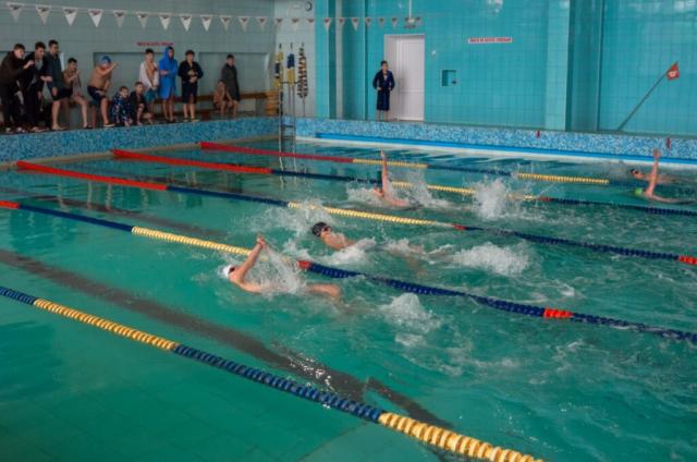 Новини Житомира - фото з У басейні “Авангард” відбувся Чемпіонат Житомирської області з плавання