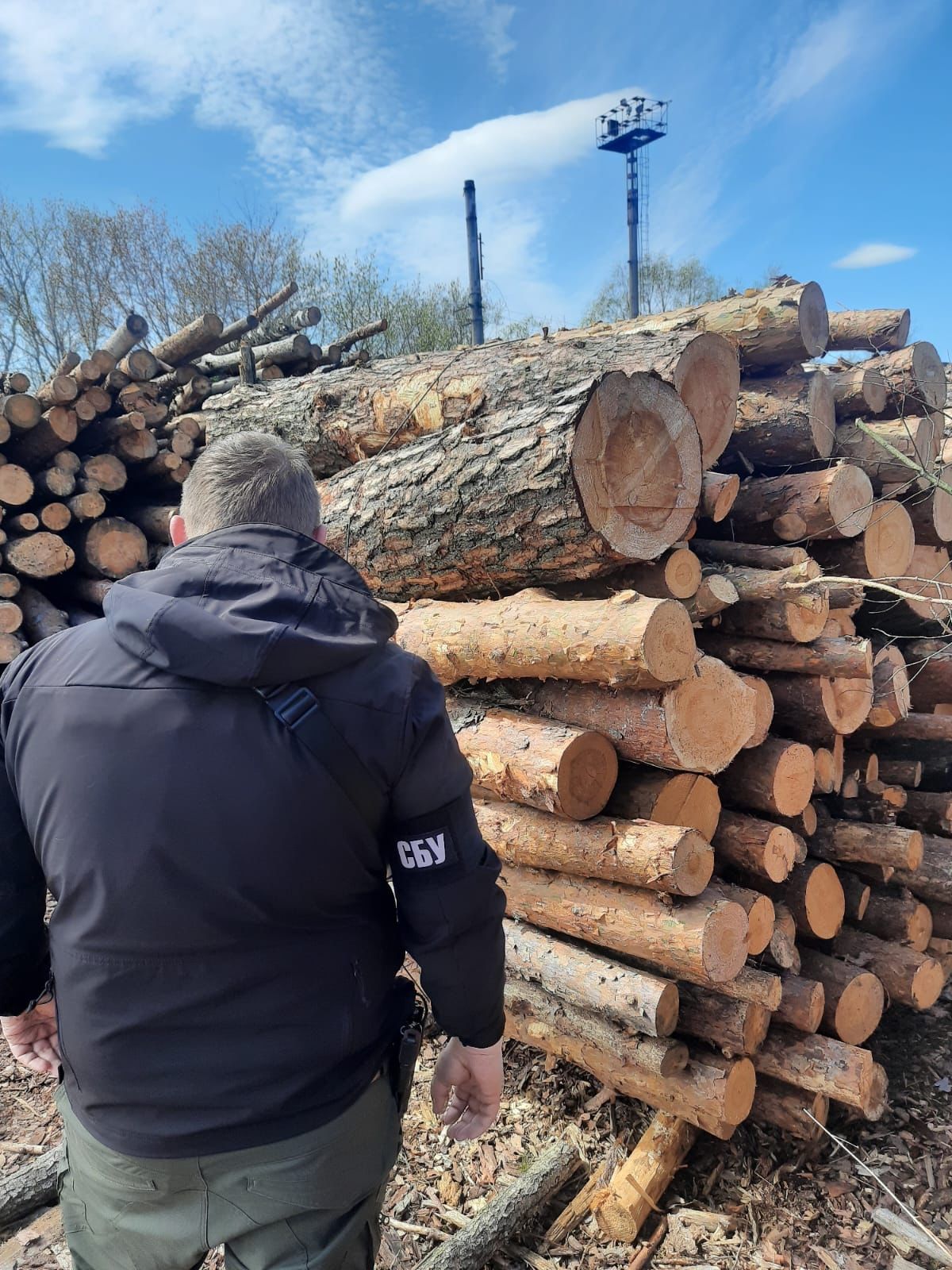 Новини Житомира - фото з За участі прокуратури Житомирщини у дохід держави конфісковано майже 520 кубометрів деревини