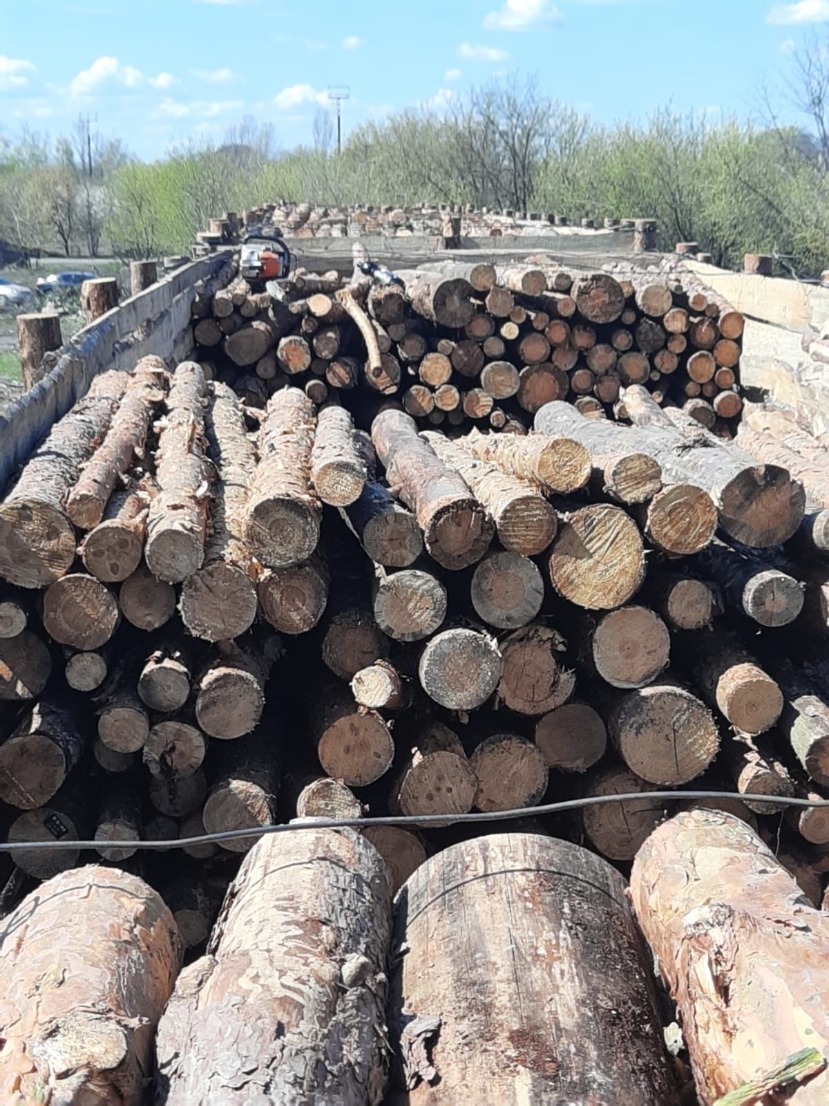 Новини Житомира - фото з За участі прокуратури Житомирщини у дохід держави конфісковано майже 520 кубометрів деревини