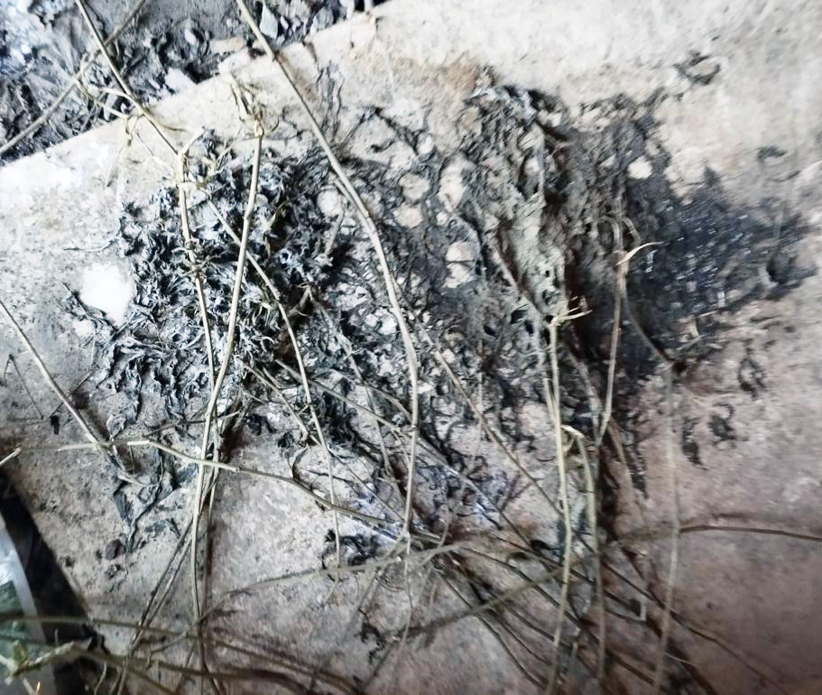 Новини Житомира - фото з В обійстях і кишенях жителів області поліцейські продовжують знаходити наркотики і психотропи «сюрпризи» у посилках, запаси в гаражі, вдома та у кишенях: за добу поліцейські зареєстрували низку випадків незаконного обігу наркотиків