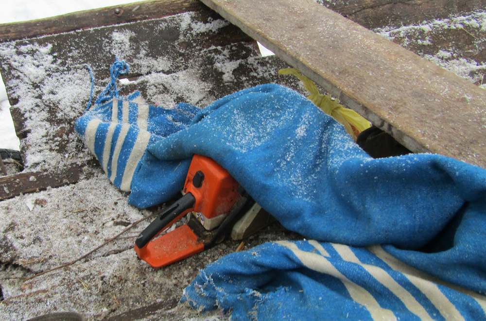 Новини Житомира - фото з Майже 20 кубометрів ясеню, дуба та граба встигли вирізати до приїзду поліції: двох парубків з Ємільчинської громади затримали на крадіжці деревини звягельські поліцейські затримали двох парубків під час крадіжки деревини в ємільчинській громаді