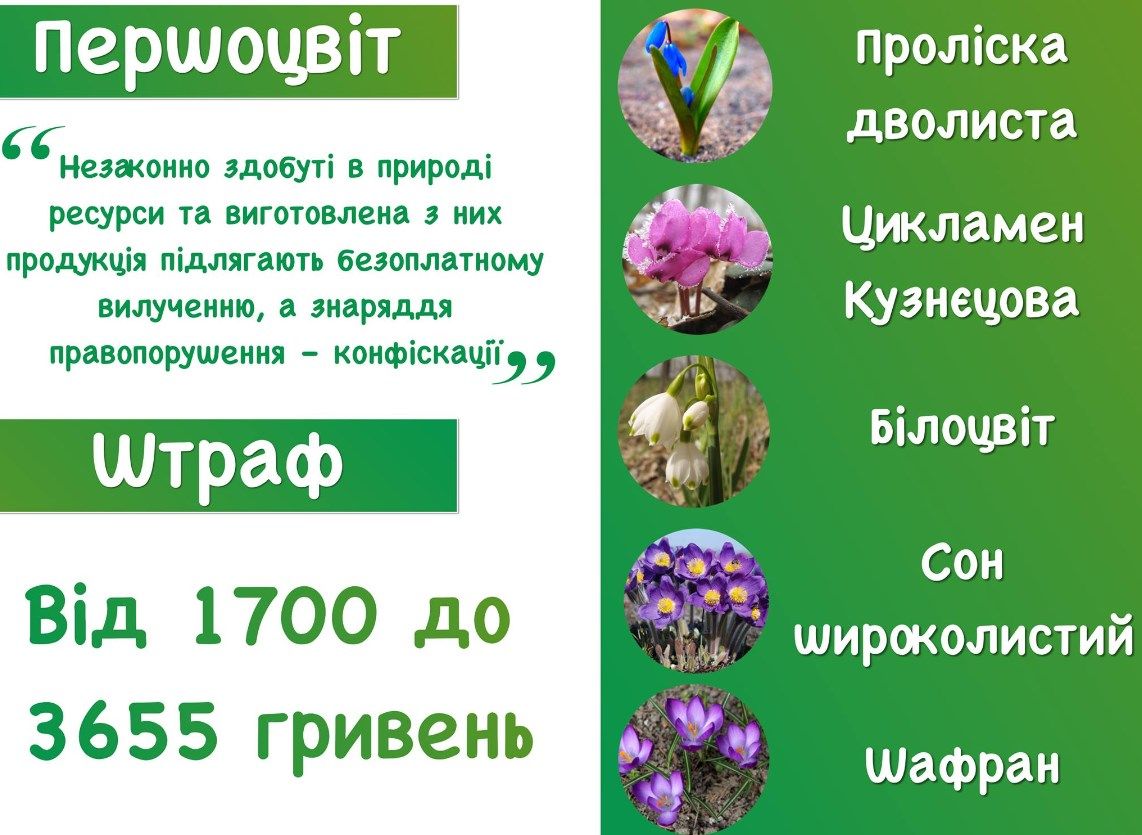 Новини Хмельницького - фото з На Хмельниччині стартувала операція «Первоцвіт-2023». Які штрафи?