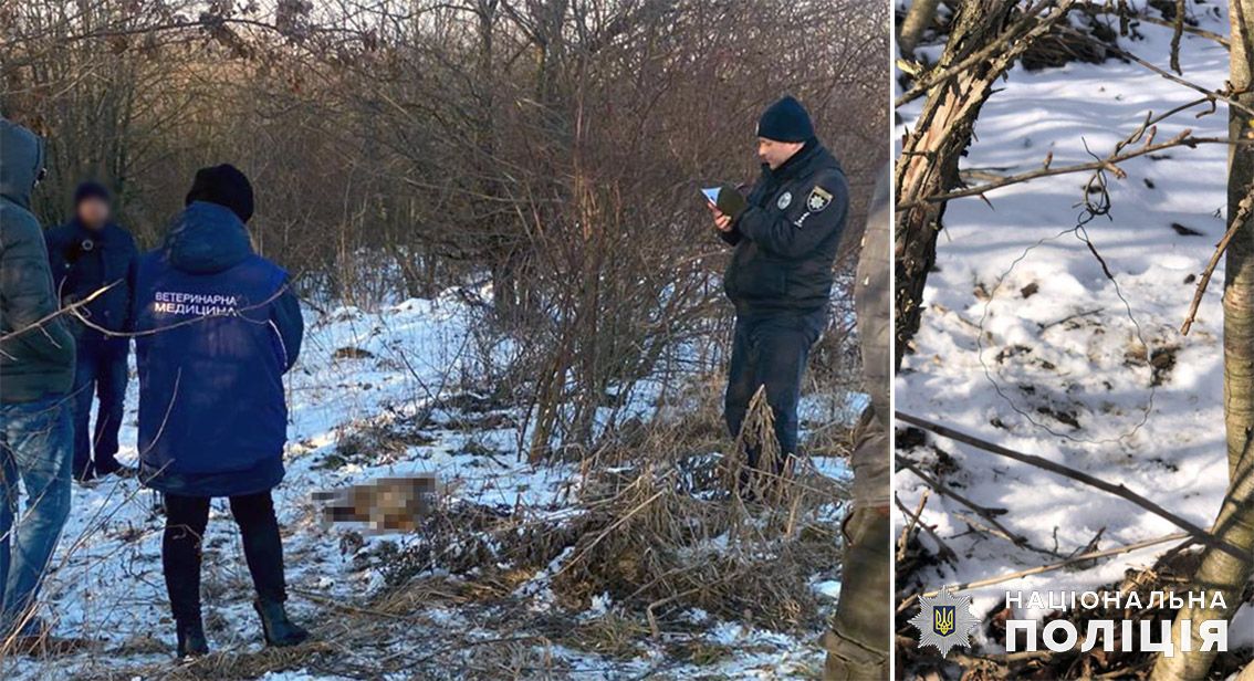 Новини Хмельницького - фото з У «Подільських Товтрах» спіймали двох браконьєрів, які вполювали лиса