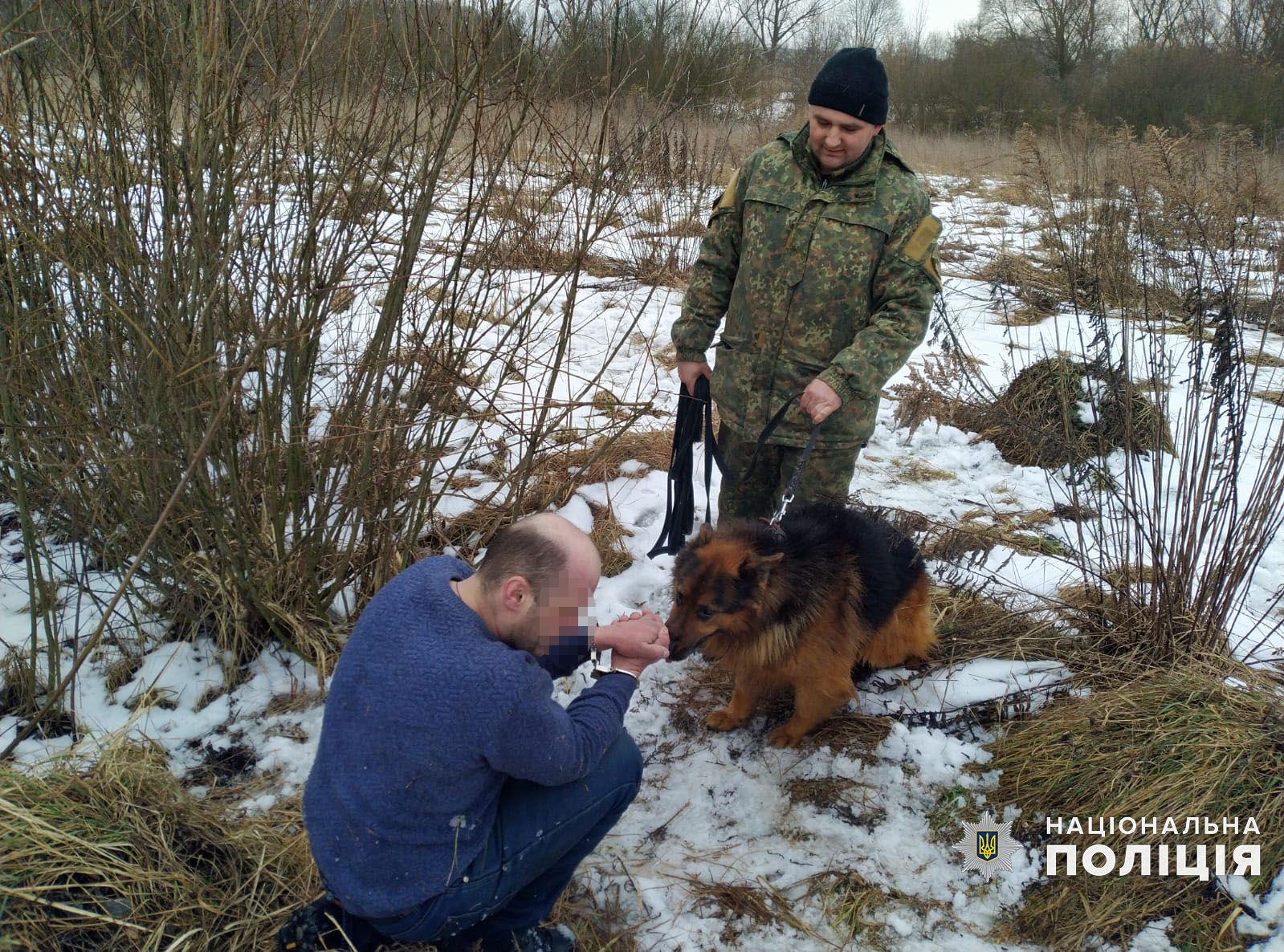 Новини Хмельницького - фото з У Гречанах службовий пес Граф знайшов грабіжника, який напав на пенсіонерку