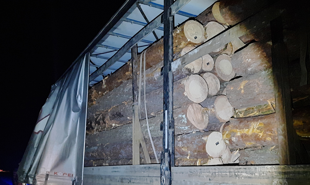 в олевській громаді поліцейські затримали вантажівку з нелегальним лісом