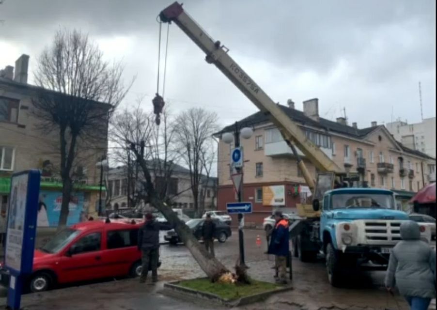Новини Хмельницького - фото з У Кам’янці вітер повалив десяток дерев на дороги та авто (ФОТО)