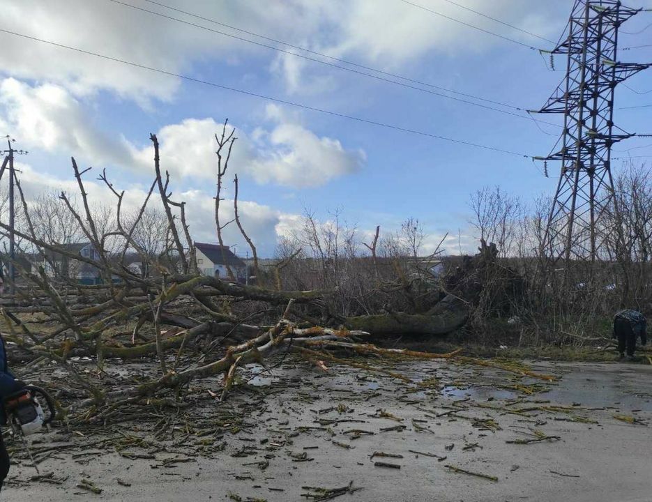 Новини Хмельницького - фото з У Кам’янці вітер повалив десяток дерев на дороги та авто (ФОТО)