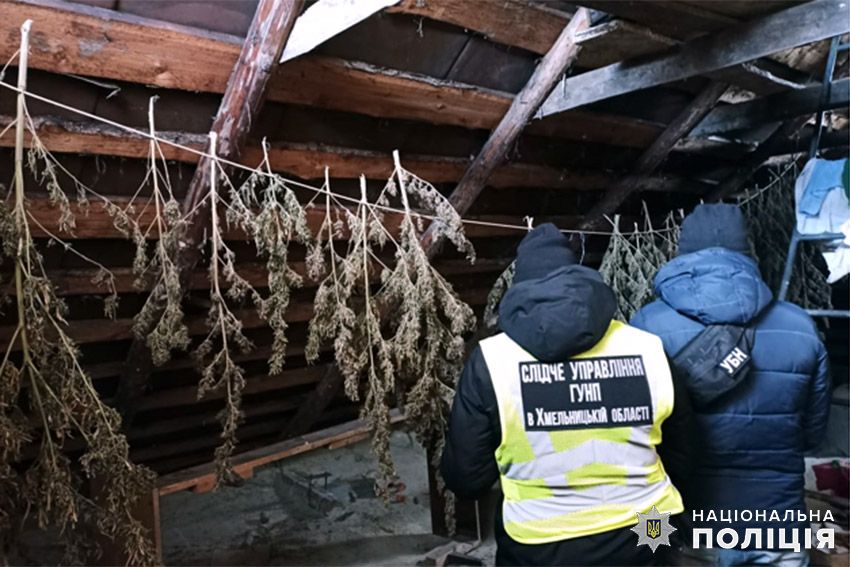 Новини Хмельницького - фото з У Хмельницькому затримали торговця канабісом