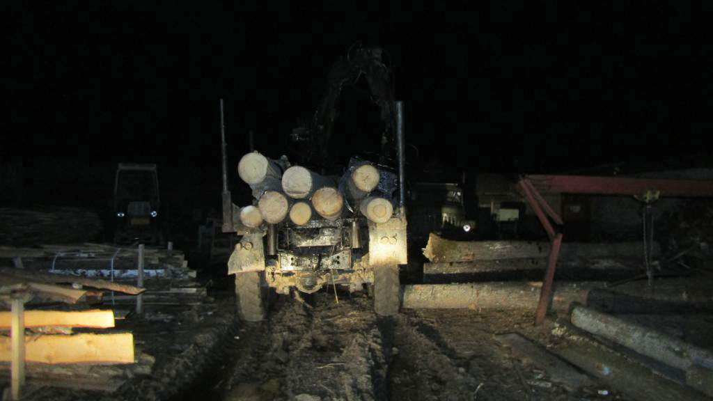 поліцейські викрили трьох жителів звягельщини у крадіжці деревини