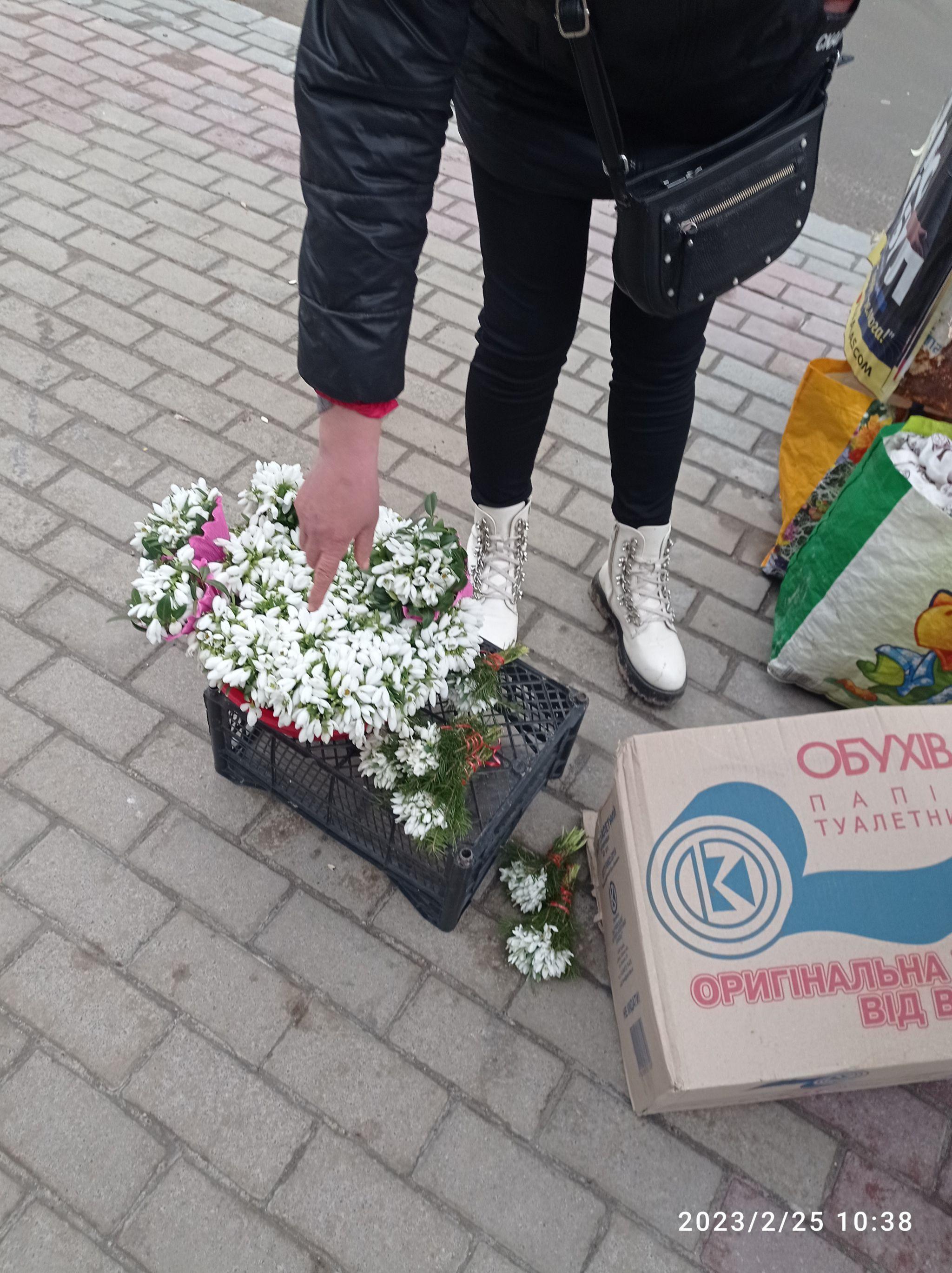 Новини Тернополя - фото з У Тернополі вже продають червонокнижні квіти: скільки просять за букет і які штрафи загрожують за це