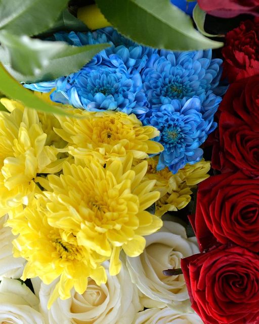 Новини Житомира - фото з У Житомирі попрощалися з Захисниками Миколою Павленком та Іллею Черняком На зображенні може бути: троянда