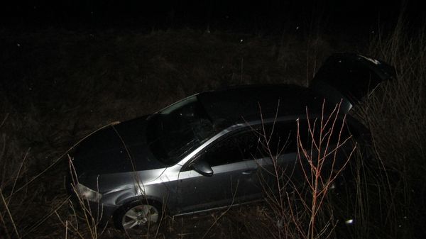 Новини Житомира - фото з У Ємільчинській громаді через нетверезого водія автівка з’їхала у кювет, травмуввся пасажир