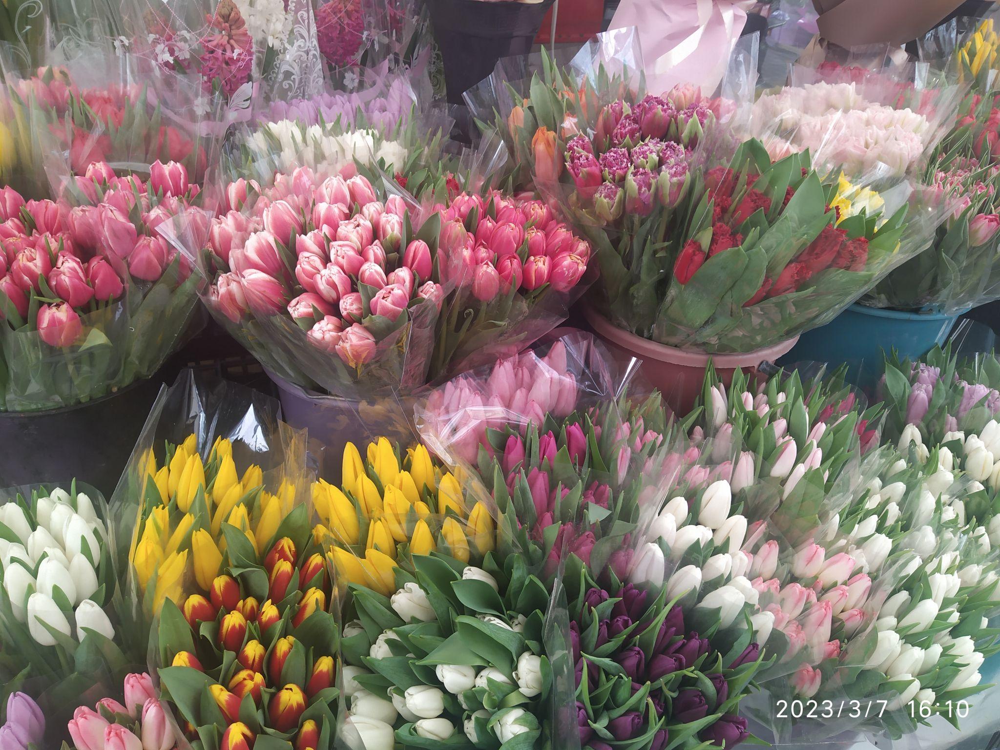 Новини Тернополя - фото з На 8 березня беруть тюльпани по 40, а дехто — букети по 700 і навіть 2500 гривень