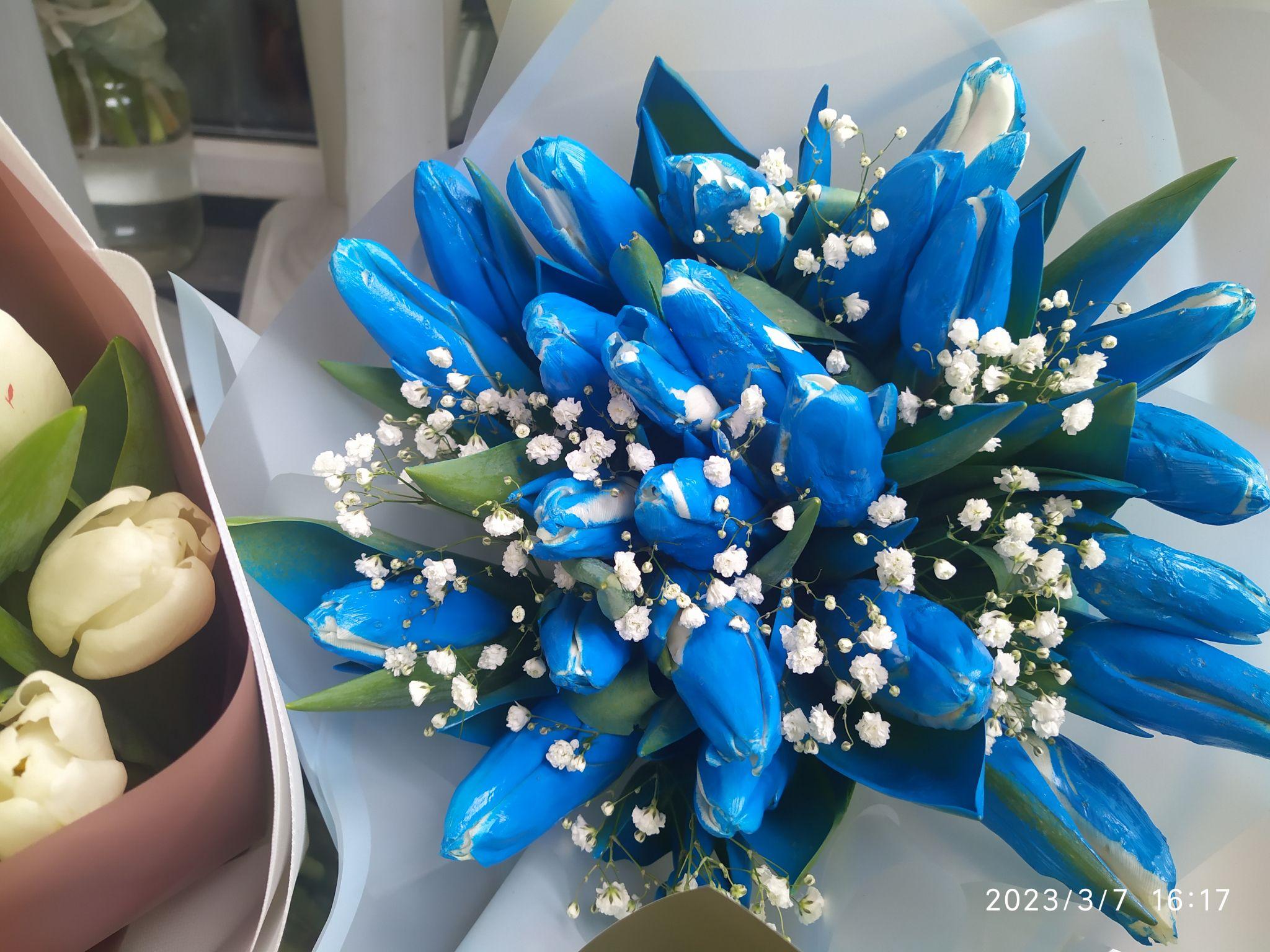 Новини Тернополя - фото з На 8 березня беруть тюльпани по 40, а дехто — букети по 700 і навіть 2500 гривень