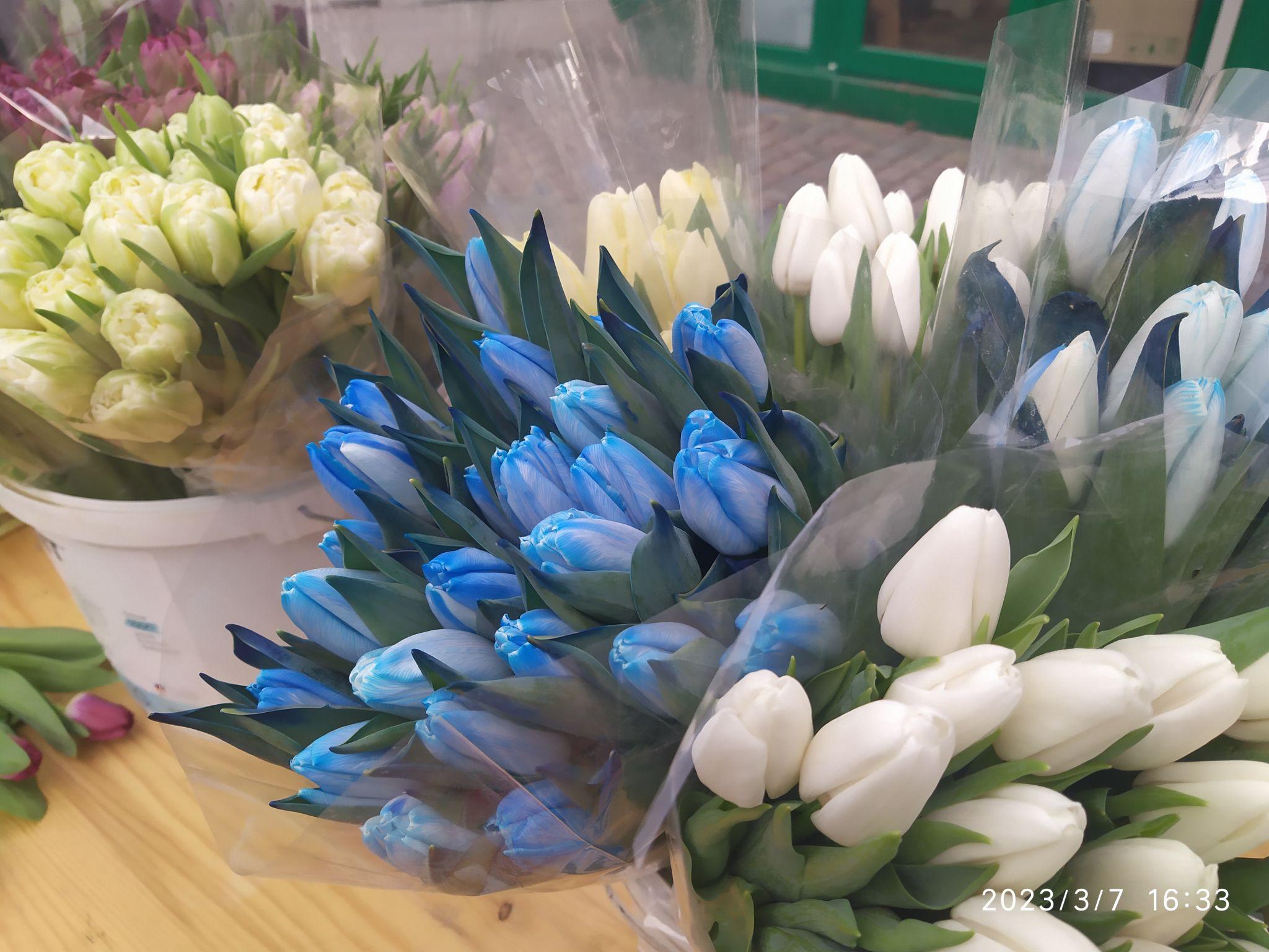 Новини Тернополя - фото з На 8 березня беруть тюльпани по 40, а дехто — букети по 700 і навіть 2500 гривень