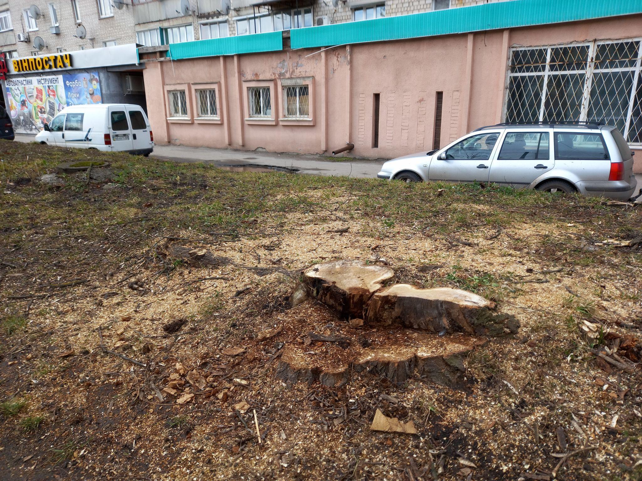 Новини Козятина - фото з Козятинська різня бензопилою дійшла до центральних вулиць