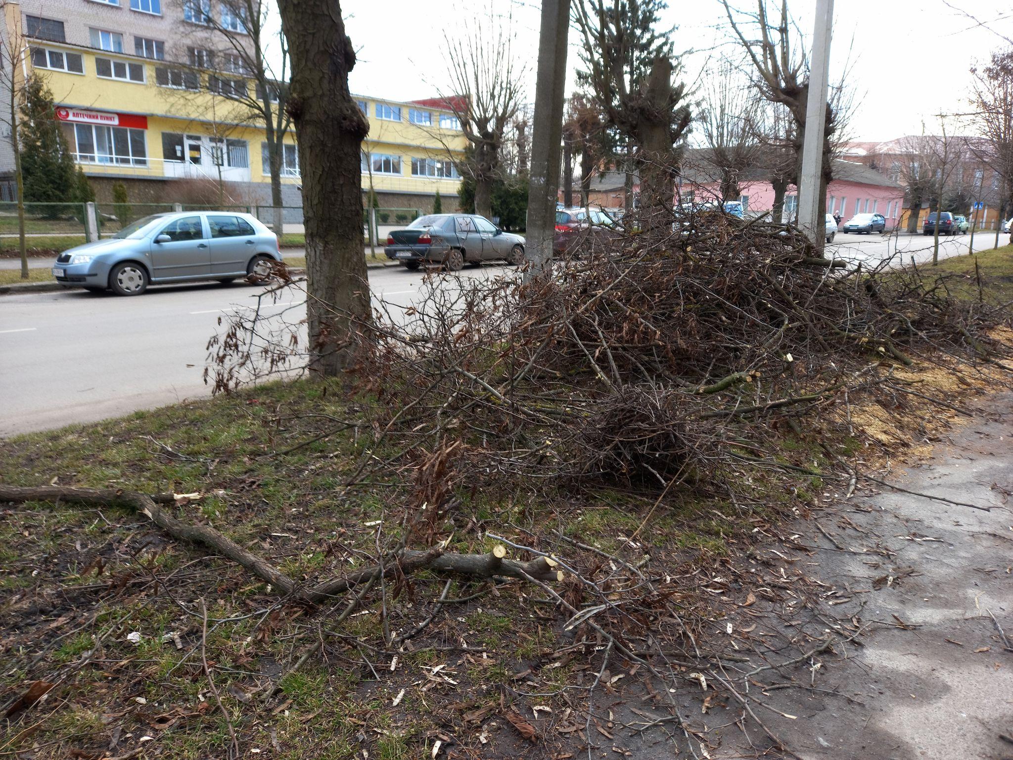 Новини Козятина - фото з Козятинська різня бензопилою дійшла до центральних вулиць