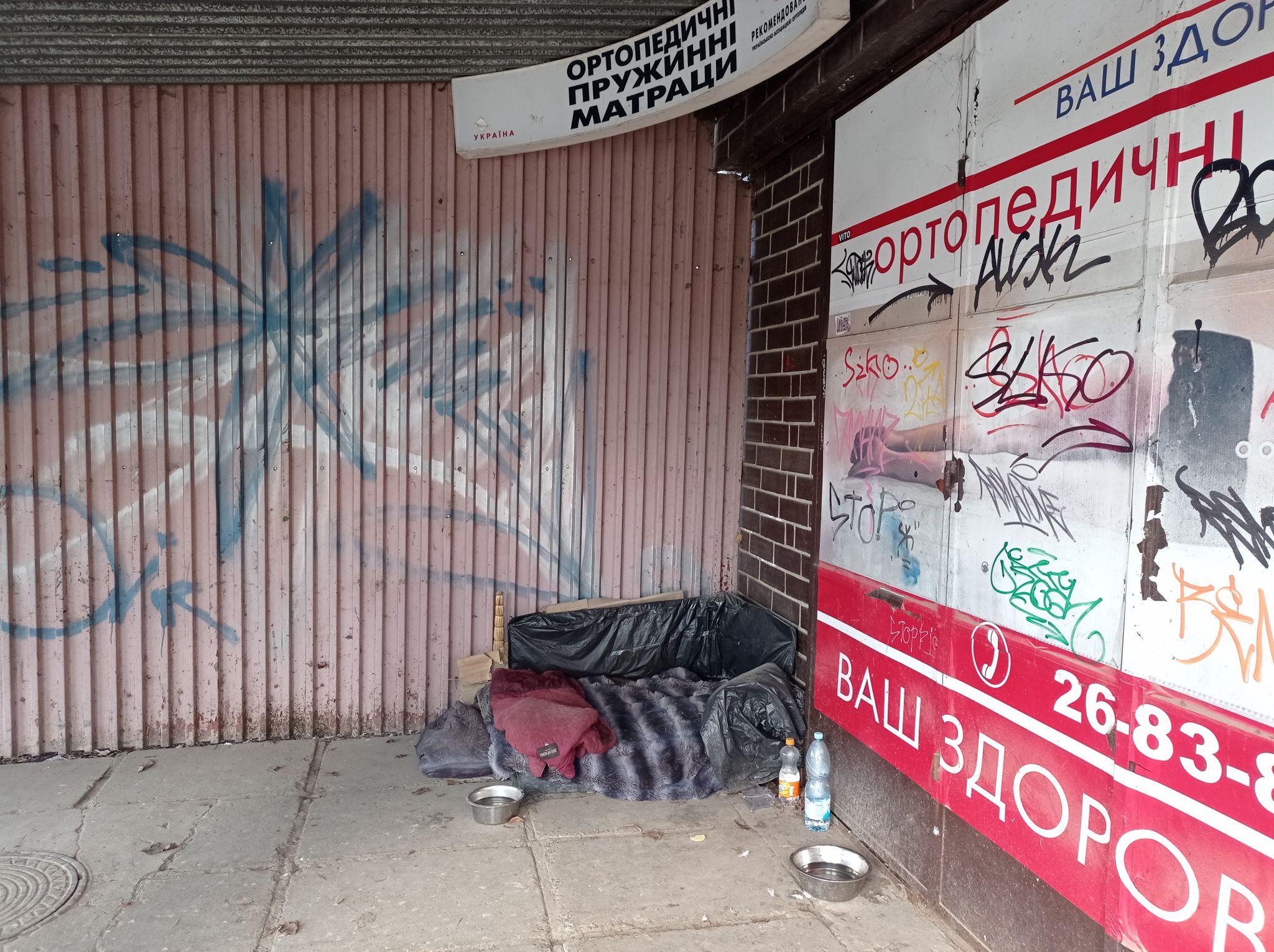 Новини Тернополя - фото з У Тернополі люди зробили нічліг для собак на зупинці. А що ви про це думаєте?