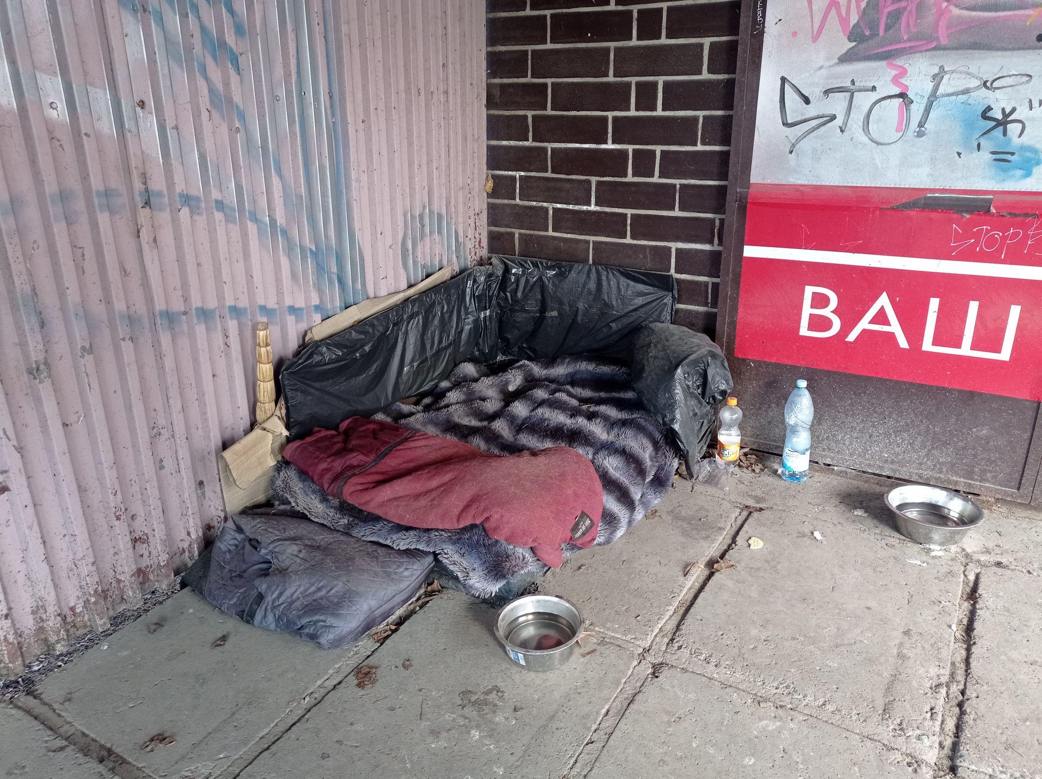 Новини Тернополя - фото з У Тернополі люди зробили нічліг для собак на зупинці. А що ви про це думаєте?