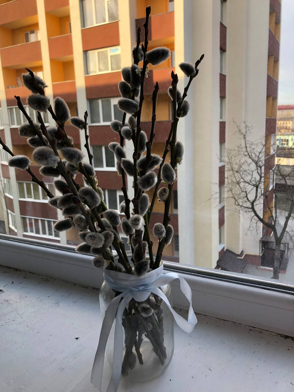 Новини Тернополя - фото з У Тернополі вже продають вербові котики: скільки коштують букети і як отримати знижку