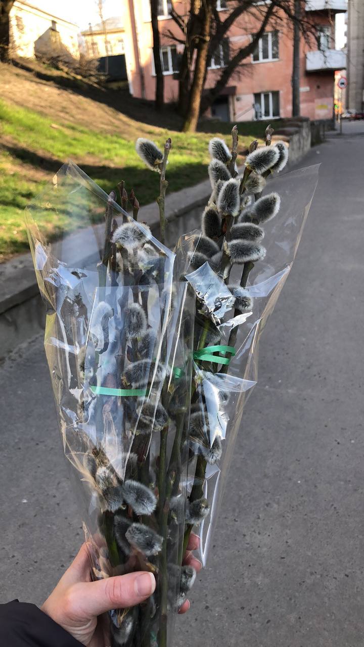 Новини Тернополя - фото з У Тернополі вже продають вербові котики: скільки коштують букети і як отримати знижку