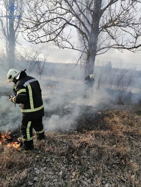 Новини Тернополя - фото з Два гектари сухої трави за добу! Горіло у 7 селах Тернопільщини і в обласному центрі