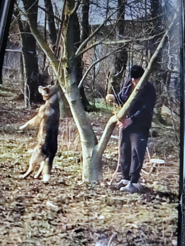 Новини Вінниці - фото з На Вінниччині господар вішав на дереві собаку, та люди врятували. Поліція відкрила справу