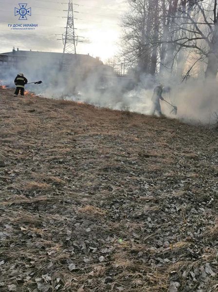 Новини Тернополя - фото з Два гектари сухої трави за добу! Горіло у 7 селах Тернопільщини і в обласному центрі