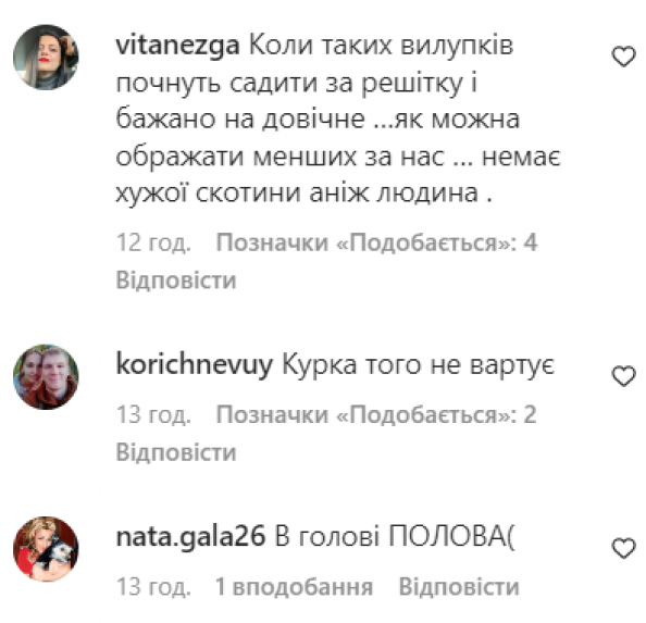 Новини Вінниці - фото з На Вінниччині господар вішав на дереві собаку, та люди врятували. Поліція відкрила справу