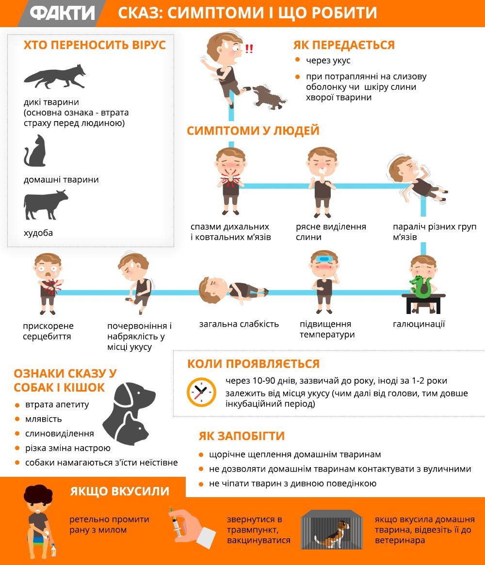 Новини Хмельницького - фото з В одному з сіл Хмельницького району запровадили карантин через сказ